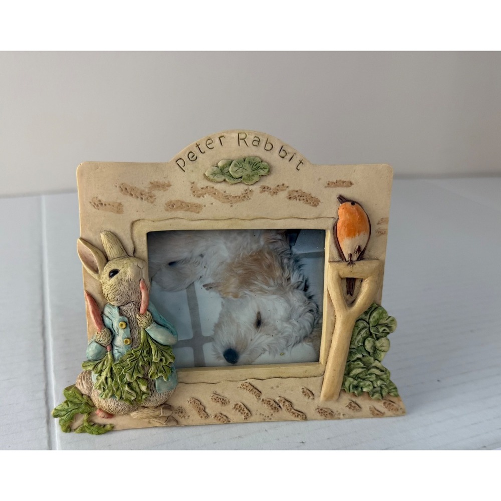 Frederick Warne & Co 94' Charpente Peter Rabbit Resin 3D Picture Frame 7'X5"
